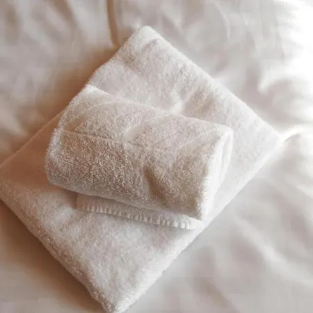 Alice By Schladmingurlaub * シュラートミンク